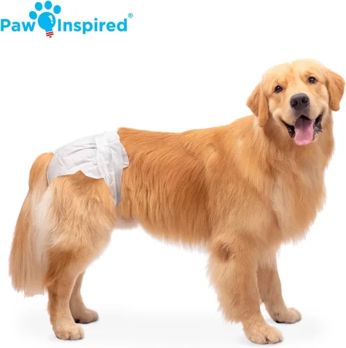 Miniatura 4 de Paw Inspired 20 unidades de pañales desechables para perros Pañales para perras con ultra protección Pañales para perros en celo, micción por