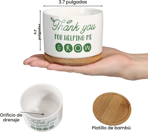 Miniatura 2 de DOMG Regalo de Apreciación para Maestros, Maceta de Cerámica para Suculentas Pequeña Maceta de Flores para Uso en Interior y Exterior, Gracias por