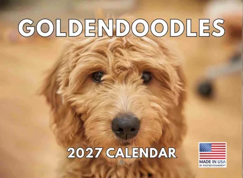 Miniatura 155 de Calendario de pared mensual 2025 Great Dane de 12 meses, fabricado en Estados Unidos