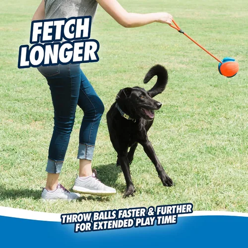 Miniatura 2 de Chuckit! Juguete de cuerda para perros - Bola en cuerda para buscar y tirar para perros - Construcción duradera de goma EVA - Diámetro de 5.5