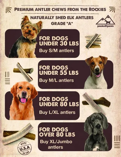 Miniatura 4 de peaksNpaws Cuernos de alce enteros de grado A totalmente naturales de alta calidad para perros, sin aditivos, sin conservantes, fabricadas