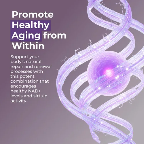 Miniatura 6 de Neurogan Cápsulas NMN + Resveratrol – Salud celular y apoyo energético – 1200 mg de mononucleótido de nicotinamida y trans-resveratrol por porción