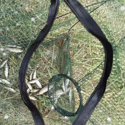 Miniatura 6 de 2 piezas de redes plegables para cebo de pesca