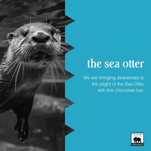 Miniatura 5 de Barra de chocolate con leche en peligro de extinción (48% de cacao)