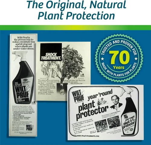 Miniatura 10 de Wilt-Pruf® Concentrado Protege contra daños en invierno, sequías y estrés Simplemente rocía y deja secar Bloquea la humedad con película