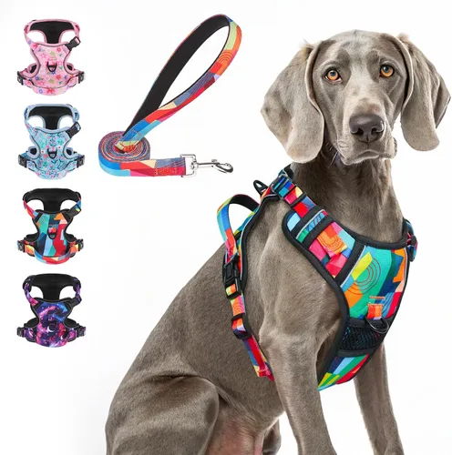 Miniatura 22 de BEAUTYZOO Arnés para perro sin tirones pequeño, juego de arnés y correa ajustable para perro - Fácil de usar con 3 hebillas/mango de control, arnés