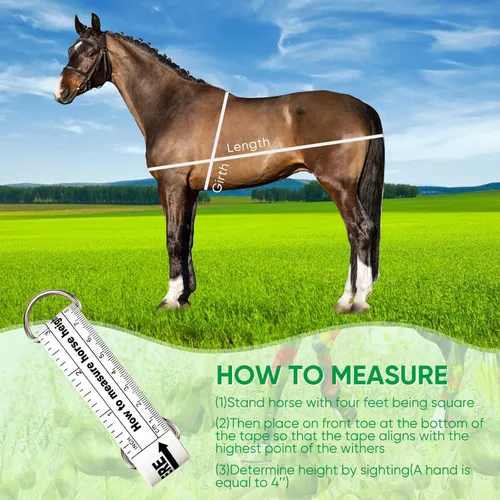 Miniatura 6 de Konohan Cinta métrica de caballo para altura y peso, cinta multifuncional para peso de caballo, medición de peso portátil de PVC para caballos, 8.2