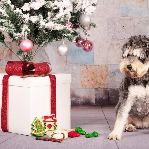 Miniatura 9 de MON2SUN 12 unidades de golosinas navideñas de cuero crudo para perros pequeños