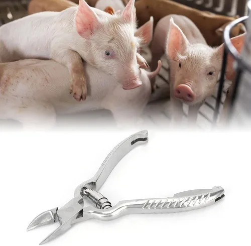 Miniatura 3 de Cortador de dientes de cerdo, 5.5 in/5.5 pulgadas de acero inoxidable de alta calidad para el hogar, granja