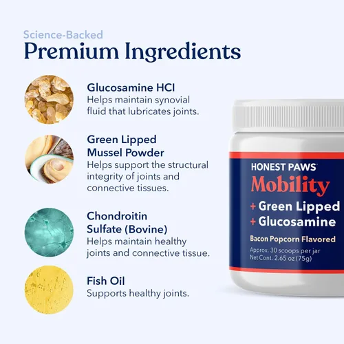 Miniatura 4 de Honest Paws Glucosamina para perros - Suplemento en polvo para articulaciones y movilidad con mejillón de labios verdes, aceite de pescado y MSM