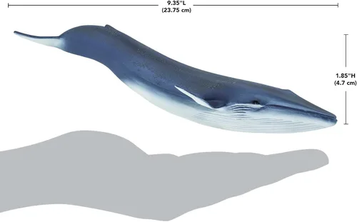 Miniatura 3 de Safari Ltd. Figura de ballena azul, figura detallada de plástico de 11 pulgadas, divertido juguete educativo para niños, niñas y niños a partir de 3