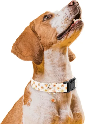 Miniatura 5 de Collares para perros personalizados, collares ajustables para cachorros con hebilla de seguridad para perros pequeños, medianos y grandes, collar