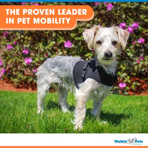 Miniatura 7 de Arnés delantero para perro Arnés sin tirones Diseñado para perros pequeños con pechos anchos Compatible con silla de ruedas para perros