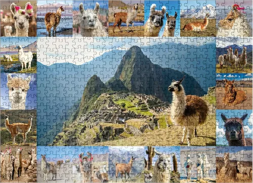 Miniatura 7 de MyPuzzle Llamas and Alpacas - Collage - Rompecabezas prémium de 100 piezas para adultos