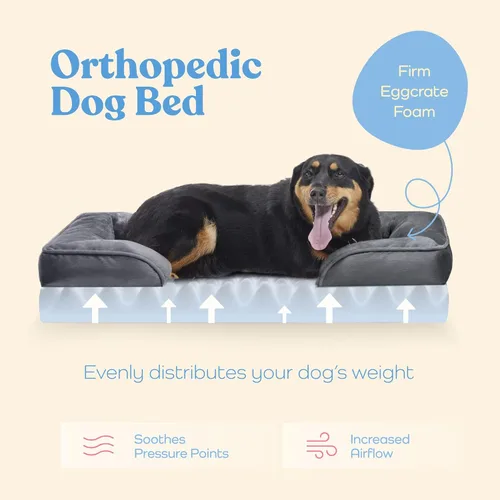 Miniatura 3 de Sofá cama ortopédica para perros – Camas ultra cómodas para perros medianos – Cama transpirable e impermeable para mascotas – Sofá cama de espuma