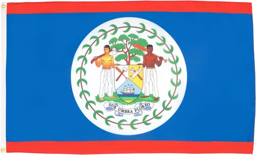 Miniatura 11 de AZ FLAG Juego de 5 banderas de Venezuela con parche – 35.4 x 23.6 in – Bandera Venezolana 7 estrellas 100% poliéster con ojales metálicos integrados