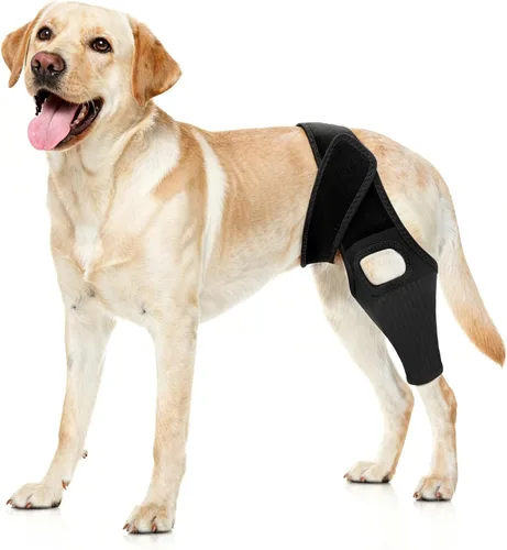 Jorme Rodillera para perro para desgarro de ACL, soporte de pierna de perro para recuperación poscirugía, artritis y rótula luxante, estabilizadores