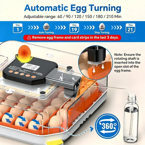 Miniatura 5 de Incubadora de 48 huevos con girador automático, control digital de temperatura y humedad, vela de huevos incorporada, recarga de agua externa