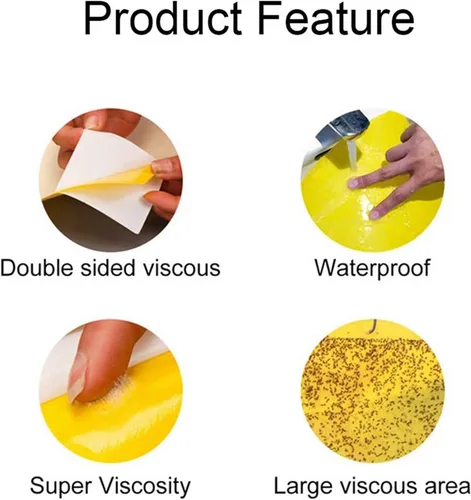 Miniatura 2 de Trapro trampas adhesivas amarillas para insectos voladores, para mosquitos de los hongos, áfidos, moscas blancas, minadores, arañuelas y otros