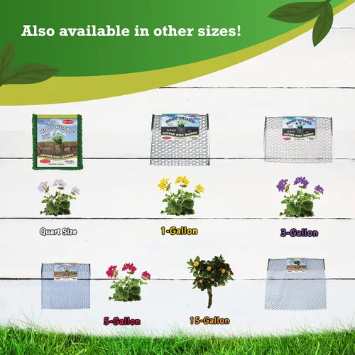 Miniatura 6 de Digger's - Cesta de alambre resistente de 1 galón, cesta de alambre Gopher para plantas perennes y verduras (12 cestas)
