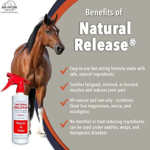 Miniatura 3 de Four Oaks Farm Ventures, Tratamiento en aerosol muscular de liberación natural, linimento de caballo para dolores musculares, dolor