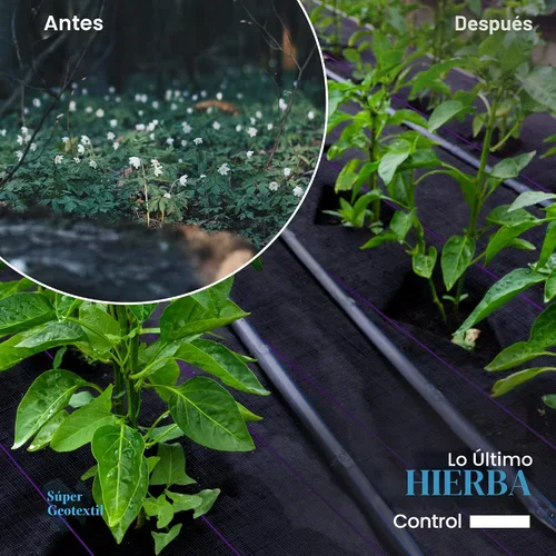 Miniatura 6 de Super Geotextile Tela profesional de barrera de malezas geotextil de 5 onzas, tela de paisaje resistente para jardinería, paisajismo, tela