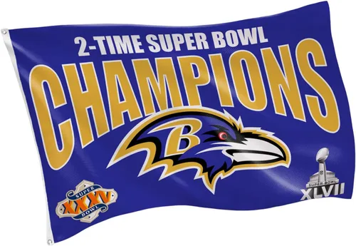 Miniatura 8 de Team Sports America NFL Buffalo Bills - Bandera duradera de 3 x 5 para exteriores con ojales, bandera y pancarta resistentes para jardín al aire