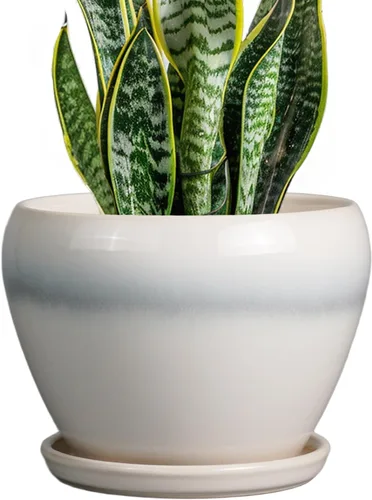 Miniatura 51 de Maceta de Cerámica Moderna con Esmalte para Suculentas con Agujero de Drenaje y Platillo, Maceta Redonda de 6 Pulgadas para Plantas de Flores