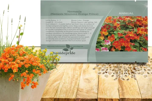 Miniatura 8 de Outsidepride Blue Gem Nemesia - 5000 piezas anuales, flores azules vibrantes, fáciles de cultivar, semillas de flores para cestas colgantes y bordes