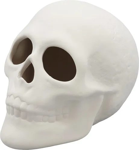 Miniatura 2 de Creative Hobbies Bisque de cerámica listo para pintar, calavera de 5 pulgadas de largo x 4 pulgadas de alto, incluye cómo pintar tu propio folleto