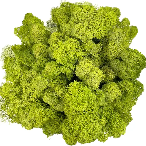 Miniatura 26 de Musgo artificial preservado de musgo para plantas en maceta, musgo verde fresco natural para manualidades, decoración de pared floral, centros