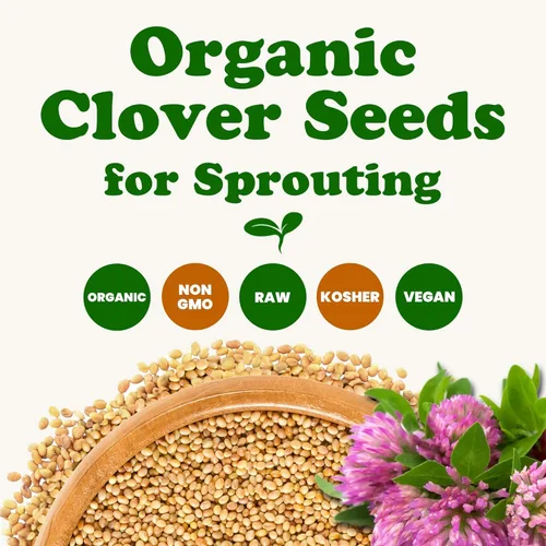 Miniatura 4 de Semillas de trébol orgánicas para germinar, 10 libras, sin OMG, puras, veganas, kosher, a granel. Semillas comestibles. Ricas en vitaminas