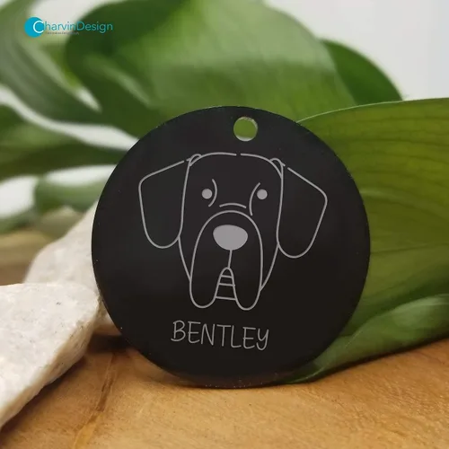 Miniatura 3 de Etiquetas de identificación de mascotas grabadas, etiquetas de identificación personalizadas para mascotas, etiquetas de identificación de mascotas
