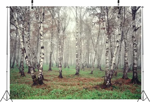 Miniatura 2 de Telón de fondo de tela de 5 x 3 pies con temática de bosque natural, fotografía, árbol de abedul, jungla verde hierba, fondo de paisaje de verano