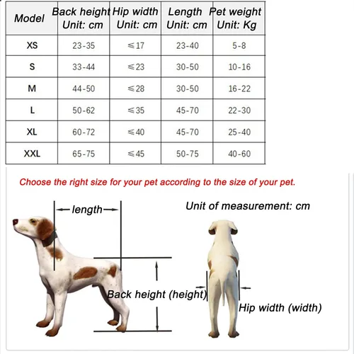 Miniatura 2 de Silla de ruedas para perros para patas traseras, silla de ruedas ajustable para perro, silla de ruedas para mascotas con patas, suministros