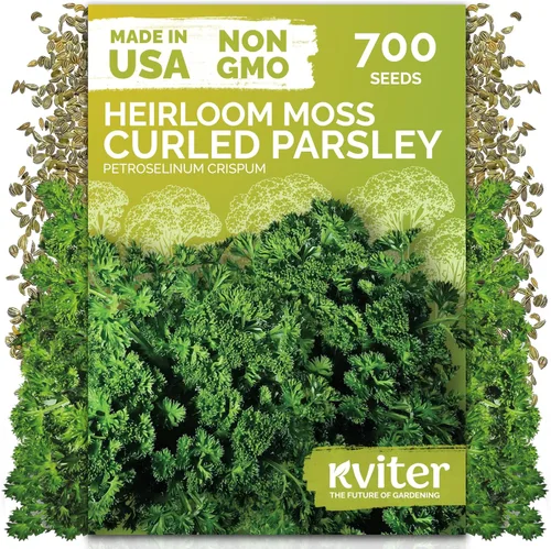 Miniatura 23 de KVITER 1000 semillas de quinua de cordero (Chenopodium Album) - Hierbas comestibles autóctonas, ideales para jardines de hierbas orgánicas