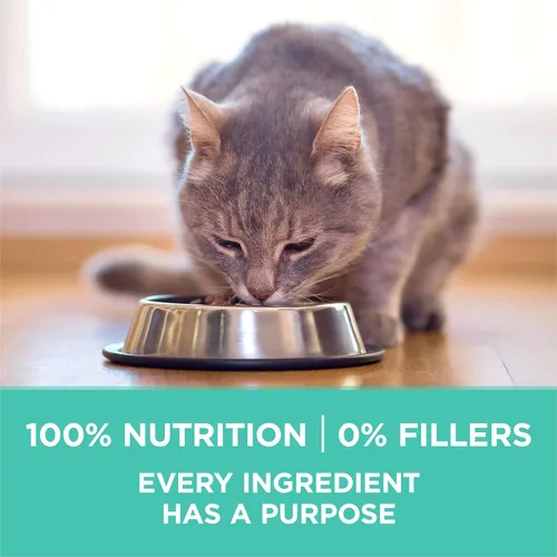 Miniatura 8 de Purina ONE Estómago sensible, piel sensible, alimento seco natural para gatos, fórmula +Plus para piel y estómago sensible, bolsa de 3.5 libras