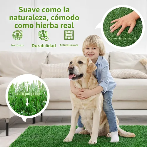 Miniatura 6 de LOOBANI - Almohadillas de césped para que los perros orinen, césped artificial, repuesto de césped artificial para orinal de cachorros