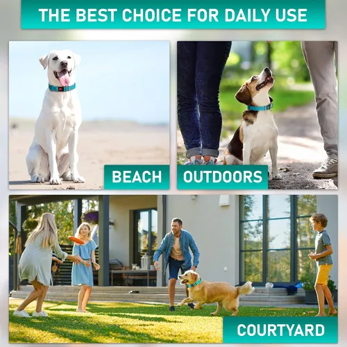 Miniatura 5 de Collar de perro ajustable con código QR identificación adjunta, fabricado en Estados Unidos, collar de perro resistente al agua con hebilla
