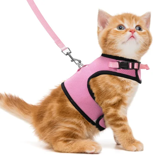 Miniatura 26 de PUPTECK Juego de arnés y correa de malla suave para gatos, arnés acolchado para mascotas, a prueba de escape, para gatos, perros pequeños, conejos