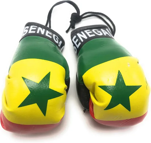 Miniatura 38 de Mini guantes de boxeo para colgar en el espejo del coche (Camerún)
