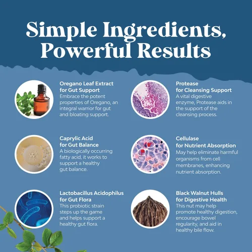 Miniatura 4 de Candida Cleanse Detox para mujeres – Desintoxicación intestinal antisobrecrecimiento para mujeres con ácido caprílico negro nogal ajenjo y orégano