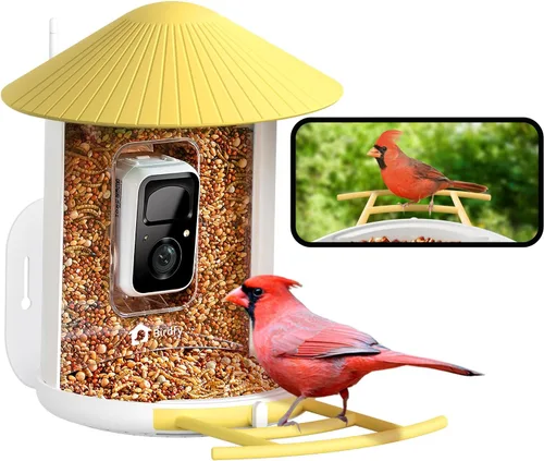 NETVUE by Birdfy - Comedero inteligente para pájaros con cámara, cámara de observación de aves, video de captura automática y detección de