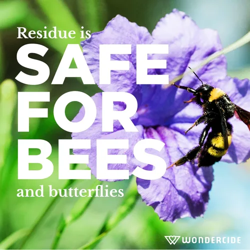 Miniatura 7 de Wondercide - Spray listo para usar contra pulgas, garrapatas y mosquitos en el jardín con aceites esenciales naturales – Asesino, tratamiento