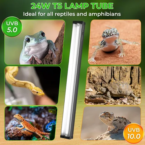 Miniatura 4 de Lustaled Kit combinado de luz para reptiles T5 UVB de 22 pulgadas y 24 W para reptiles tropicales y del desierto, UVB 5.0 conmutable, UVB 10.0