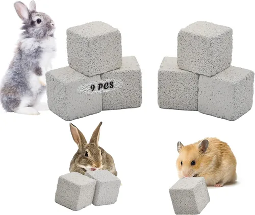 Miniatura 7 de PINVNBY 20 bloques de lava para conejos, bloque de lava de chinchillas, hámster, piedra mineral, animales pequeños, piedras cuadradas de calcio