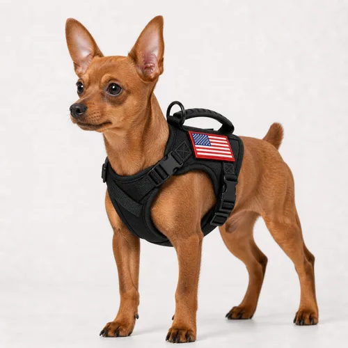 Arnés táctico para perro pequeño, a prueba de escapes, chaleco militar para perro con mango vertical, arnés ajustable XS para cachorros con Negro