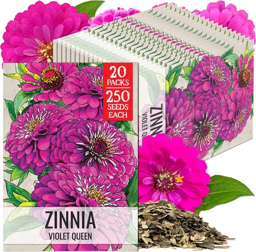 Miniatura 48 de Seed Needs California Giants - Semillas de zinnia – 250 semillas tradicionales para plantar Zinnia elegans – Cultiva flores anuales polinizadas