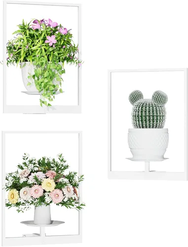 Miniatura 21 de Soporte para plantas de pared de metal negro, paquete de 2 soportes para plantas montados en la pared y soportes colgantes para macetas