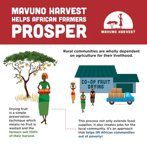 Miniatura 5 de Mavuno Harvest Bocadillos de frutas orgánicas – Bocados de fruta masticables – Alimentos saludables para niños y adultos – de origen ético, sin OMG